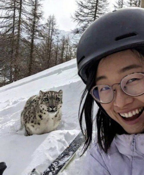 Escalofriante: esta es la selfie de la mujer atacada por un leopardo de las nieves en China