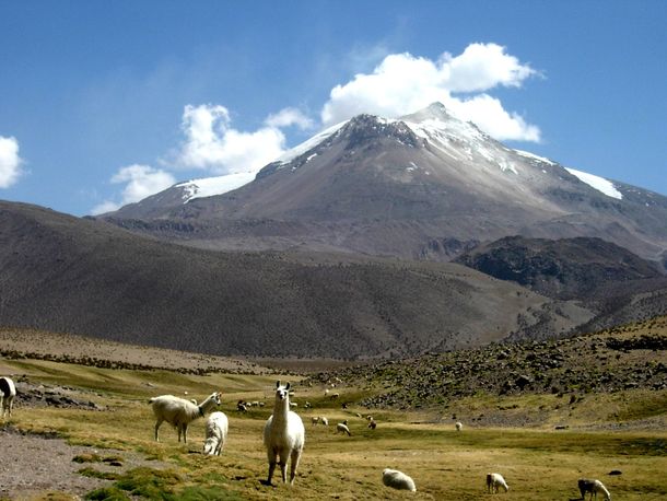Emiten una alerta amarilla por aumento de la actividad en otro volcán chileno