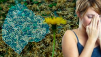 el mapa del estornudo: ¿que lugares de la ciudad debes evitar si sos alergico al polen? el mapa del estornudo: ¿que lugares de la ciudad debes evitar si sos alergico al polen?