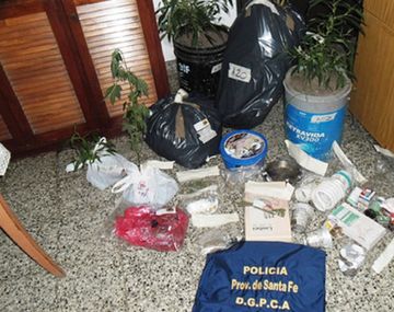 Procesaron a un jubilado de 71 años que tenía 5 plantas de marihuana