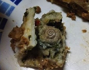 Halló un caracol en la comida del hospital de Bahía Blanca