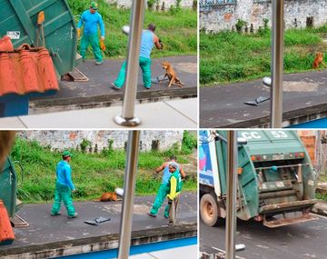 La conmoción de Xuxa por el maltrato animal