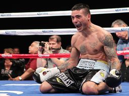 Guantes para todos: El cargado calendario del boxeo argentino