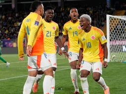 un jugador de colombia calento la previa: la mitad del mundo quiere que... un jugador de colombia calento la previa: la mitad del mundo quiere que...