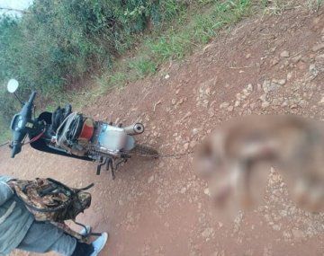 Un hombre arrastró a un perro con una moto