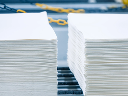 La nueva planta UPM2 comenzaría a operar a partir del mes de marzo. La nueva planta UPM2 comenzaría a operar a partir del mes de marzo.