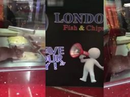 clausuran un restaurante por el video de una rata comiendo del buffet clausuran un restaurante por el video de una rata comiendo del buffet