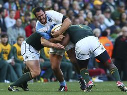 los pumas debutaran de visitantes ante sudafrica en agosto los pumas debutaran de visitantes ante sudafrica en agosto
