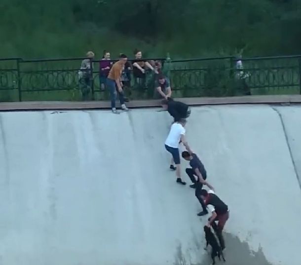 Fe en la humanidad: hacen una cadena de personas para poder salvar a un perro