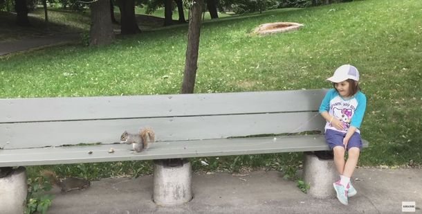 VIDEO: El padre usa una ardilla para sacarle un diente flojo a su hija