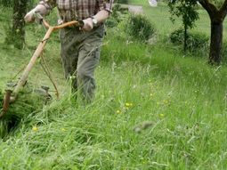 El paso a paso sencillo para eliminar las manchas de pasto en la ropa El paso a paso sencillo para eliminar las manchas de pasto en la ropa