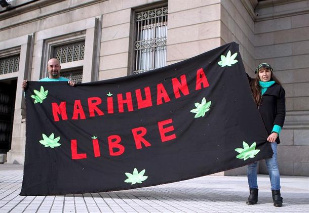 Aún no se sabe si argentinos podrán comprar marihuana en Uruguay