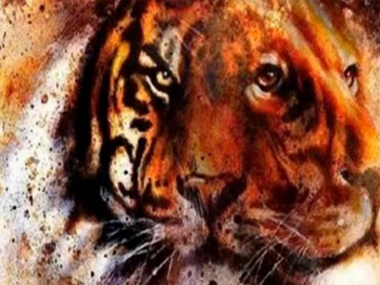 El felino que veas primero revelará rasgos de tu personalidad