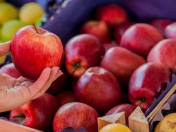 El precio mayorista del kilo de manzana roja se mantuvo sin variación durante el mes de noviembre. El precio mayorista del kilo de manzana roja se mantuvo sin variación durante el mes de noviembre.