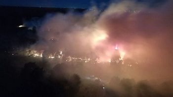 un voraz incendio afecto a una reserva forestal en mar del plata un voraz incendio afecto a una reserva forestal en mar del plata