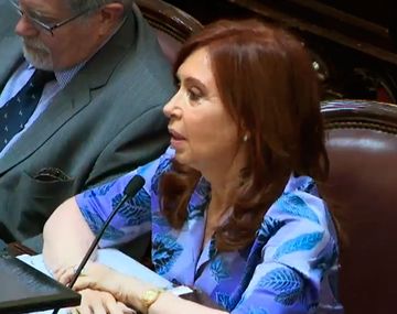 El macrismo pidió una sesión especial en el Senado para tratar el desafuero de Cristina