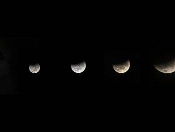 Así fue la superluna de sangre: las mejores fotos del eclipse