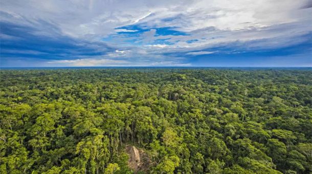 La NASA descubrió un río abajo de la Amazonia