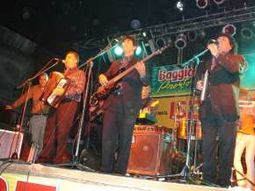 Los palmeras 3