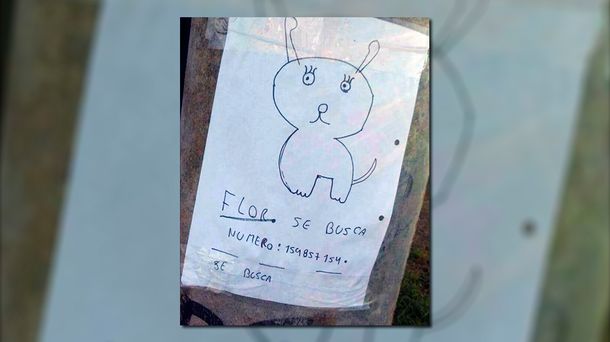 Búsqueda viral: dos nenes perdieron a su perra, no tenían una foto y la dibujaron
