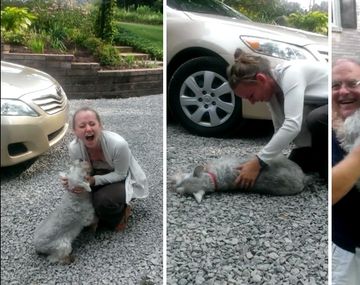 VIDEO: Un perro se desmaya de la emoción al ver a su dueña después de dos años