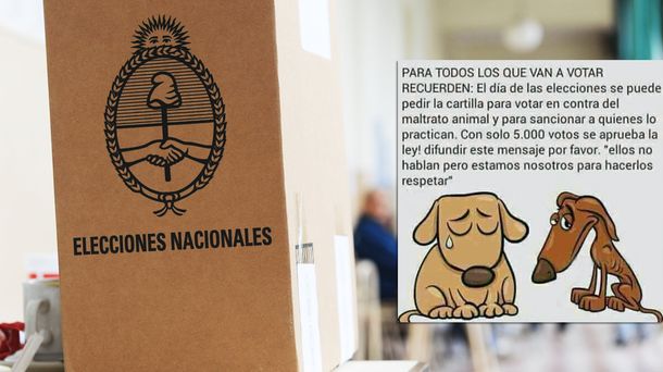 Un viral contra el maltrato animal induce a la impugnación del voto