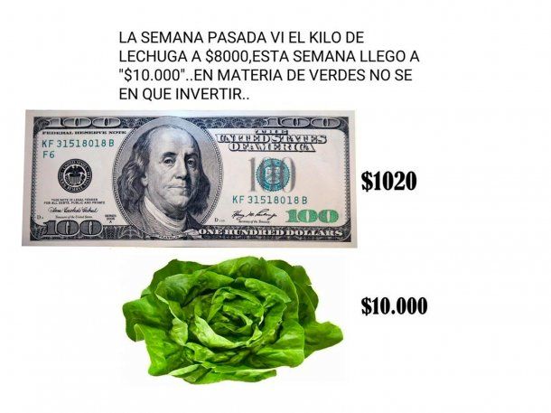 Explotaron las redes por el valor de la lechuga: memes y reacciones