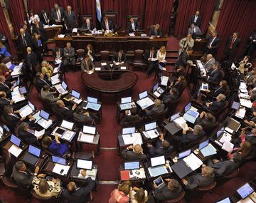 El Senado debate reforma al Código Procesal Penal