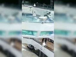 La mujer cayó adentro del estanque lleno de tiburones hambrientos