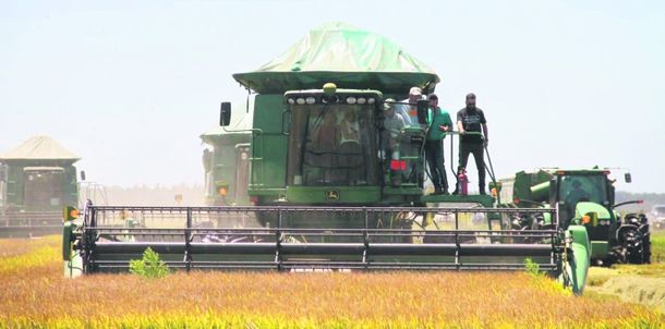 La trilla comenzó en la localidad artiguense de Mones Quintela.