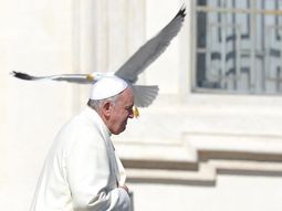 fotos: primer ano de francisco fotos: primer ano de francisco