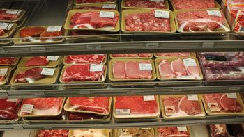 el gobierno aclaro que autorizara la importacion de carne si hay escasez el gobierno aclaro que autorizara la importacion de carne si hay escasez
