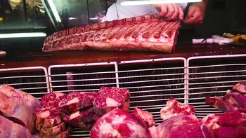 Carne JH 7934 Carne JH 7934