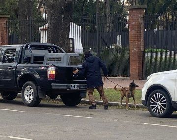 El perro del escuadrón antibombas.