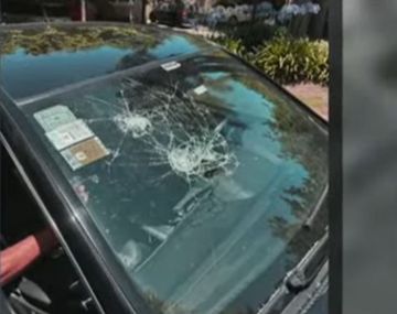 El loco de la perra atacó y destruyó un auto con un palo de golf