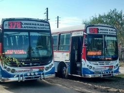 Un chofer de la línea 378 fue baleado en la cara y la mano en un intento de robo. Está fuera de peligro