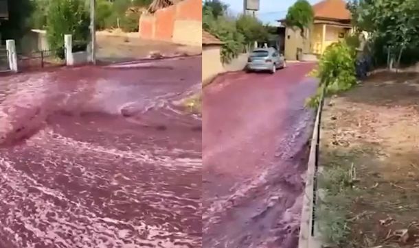 Portugal: las calles de un pueblo se inundaron de vino