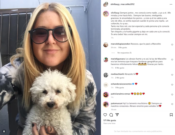 De la ternura a la tristeza: murió Marcelito, el caniche que alegró las redes