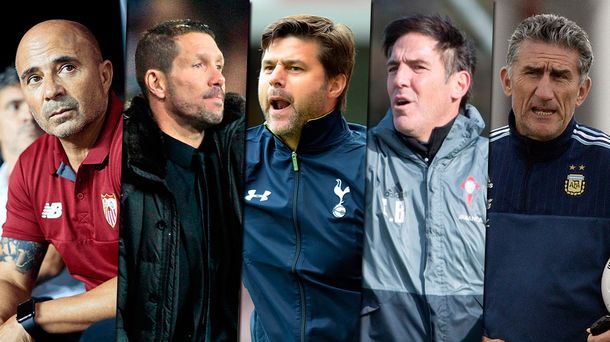 ¿Quién debe dirigir a la Selección?