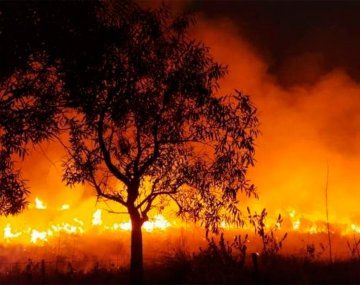 Los incendios en Corrientes alcanzaron el ingreso a los Esteros del Iberá