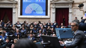 Diputados aprobó la Ley Hojarasca: el oficialismo avanza con su plan Diputados aprobó la Ley Hojarasca: el oficialismo avanza con su plan