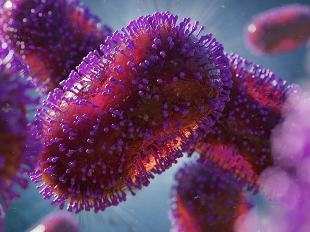 Alerta por un nuevo brote de Mpox, antes conocida como viruela del mono Alerta por un nuevo brote de Mpox, antes conocida como viruela del mono