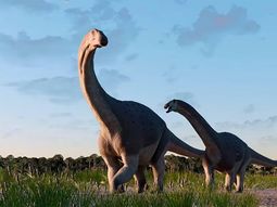 Paleontólogos del Conicet hallaron restos de otro titanosaurio que habitó la Patagonia
