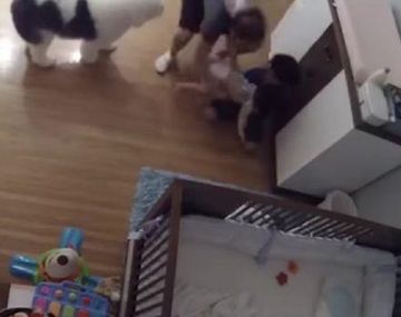 Tras el milagro, los hermanos fueron filmados junto a su perro