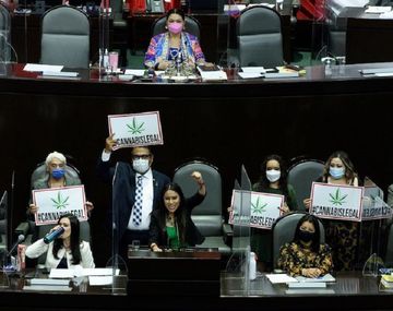 Diputados de México aprobó uso recreativo de la marihuana