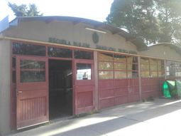 tiro una bomba de gas pimienta en el inodoro e intoxico a todo el colegio tiro una bomba de gas pimienta en el inodoro e intoxico a todo el colegio