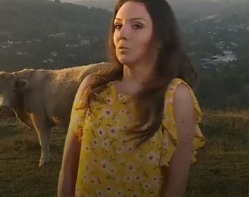 VIDEO: Vacas irrumpieron en una transmisión de televisión