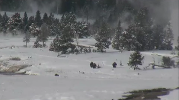 un video que revela al supuesto yeti