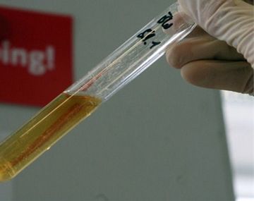 Ocho años después: detectan doping positivo de los JJ.OO. de Beijing