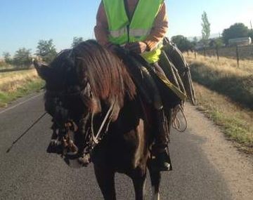 De España a Alemania a caballo para conseguir trabajo